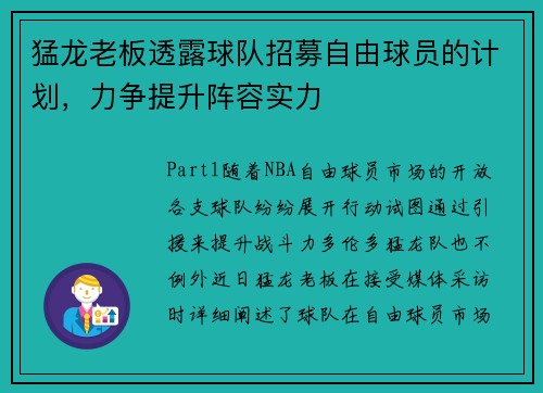 猛龙老板透露球队招募自由球员的计划，力争提升阵容实力